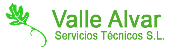 VALLEALVAR SERVICIOS TÉCNICOS, S.L.